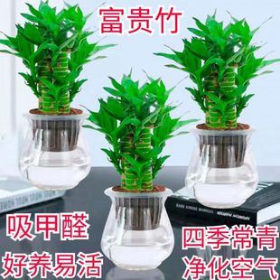 ���F�� ˮ�ಽ�����������҃�ֲ������՚�͏d���洺����ؔ��լ