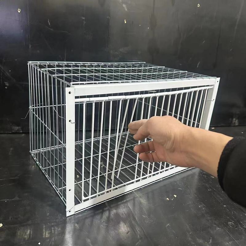 新型の天落籠ハト籠は暗号化を厚くして自動的にハトの神器を収めます。|undefined