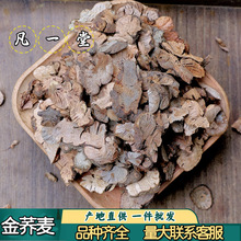 ��һ�ý��w�� �w���� Ұ�w�� �_���i ���w�^������ �ɟo�۰l؛