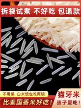 猫牙米泰香米形状长粒香大米丝苗米煲仔饭米大米2023年新米