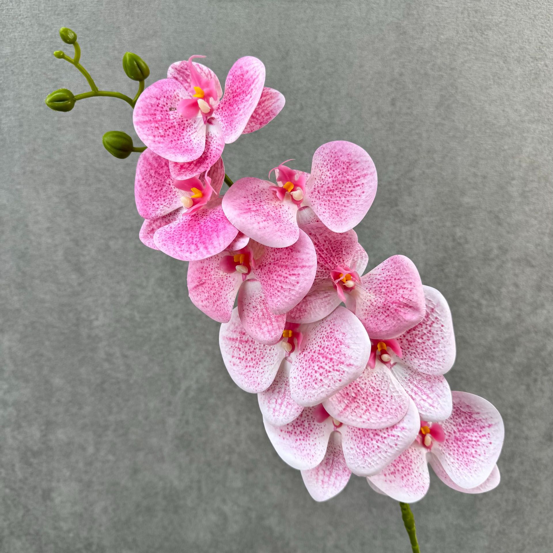 Jade pink