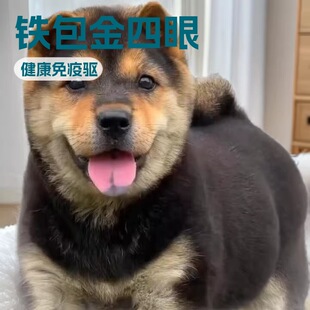 ���N���A��@Ȯ�S�����������Ȯ��tȮ���F�����S�����挙�ﹷ��