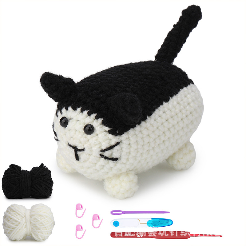 6호 흑백 핑크 고양이