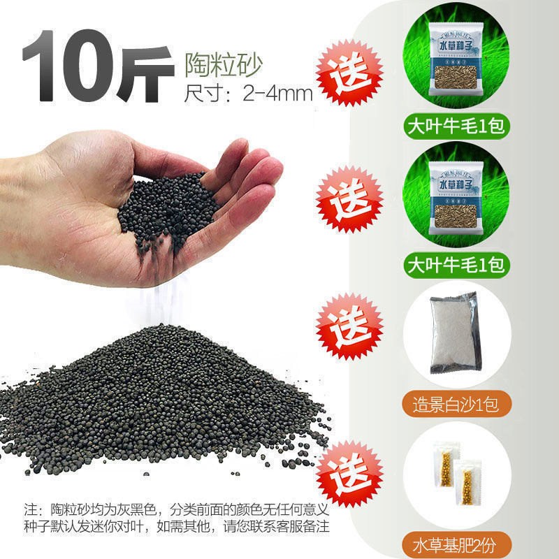 嘘援娉ユ壒鍙戙€愪笉舞枃丸瀀耣ャ€戦櫠绮掔戞枸shoulder a few搴琴爞更曟曟曘昘棌绠 argue