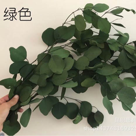 グリーン100グラム1束