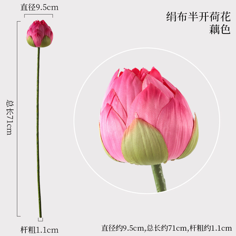 연꽃 반개방 연꽃색