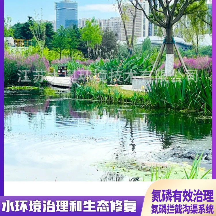 厂家生产河道污水修复净化脱磷除氮模块处理装置生态拦截沟渠系统