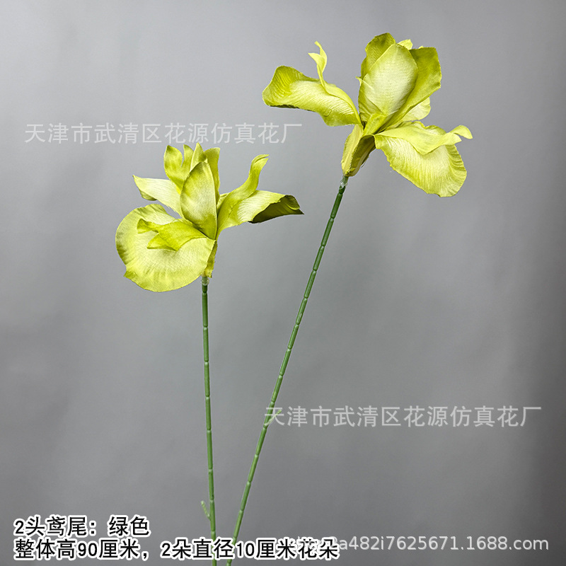 2머리 아이리스 - 녹색