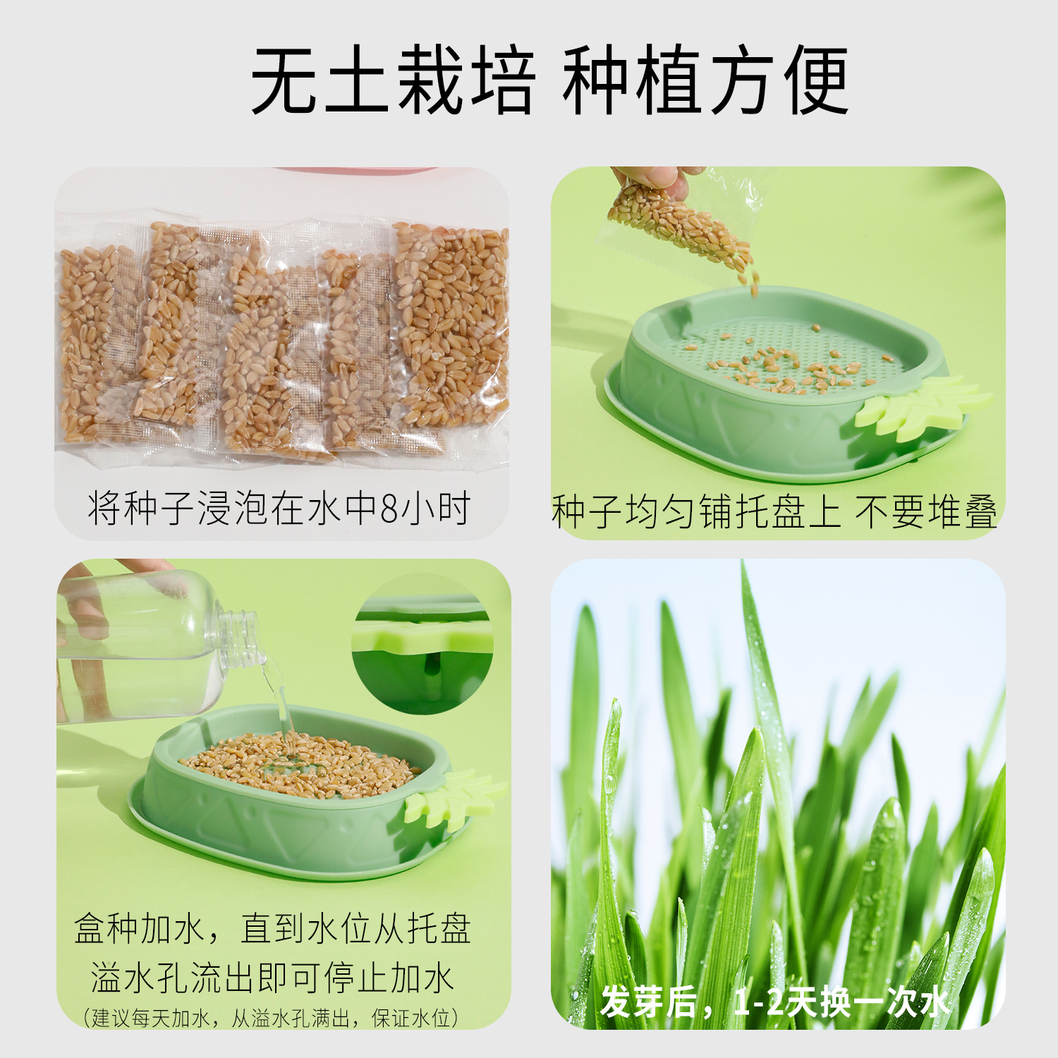 Bocadillos para gatos transfronterizos, semillas en macetas de pasto para gatos, cajas hidropónicas, bolas de pelo, vivero de pasto para gatos sin tierra, suministros para mascotas al por mayor