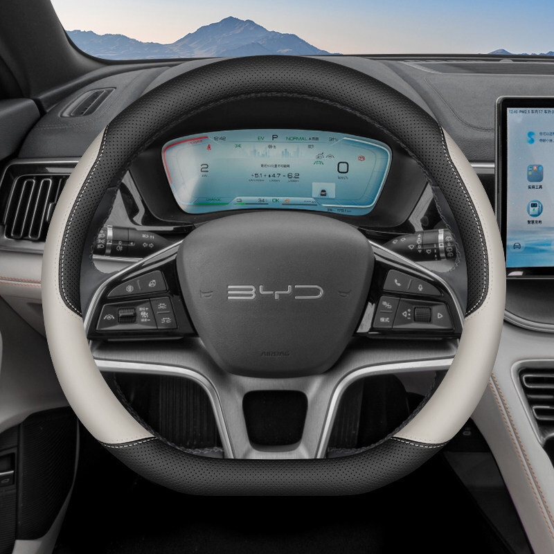 2025��ȁ�����plus����P����pro/plusdmi/ev���ó����ļ�܇����