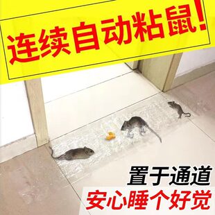 Cross-Border Foreign Trade Mouse Trap Blanket Transparent Mouse Trap Magic Carpet Large Powerful Black Invisible Mouse Trap Blanket Mouse Trap Household Blanket