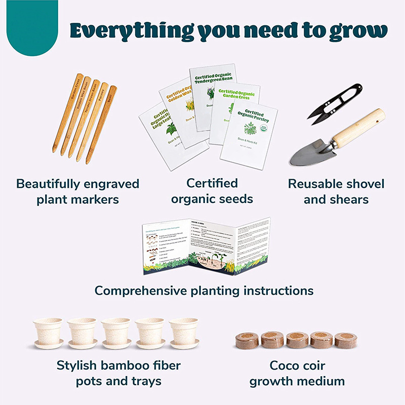 厂家直供香草豆类室内花园套件创意亚马逊儿童新手花盆种植套装