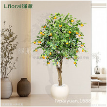 �羳���Q؛Դ���Ә䶹�����ٻ���٘�Ƶ��c��ػ�ˇ�����b�