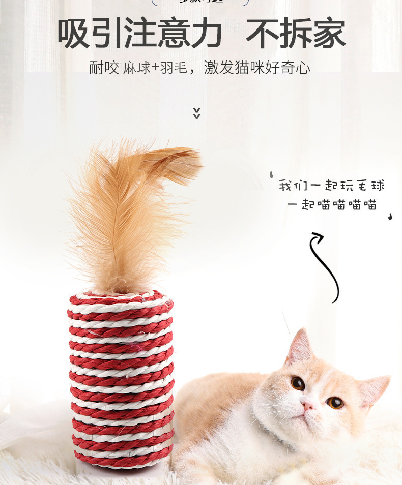 貓棒_04.jpg