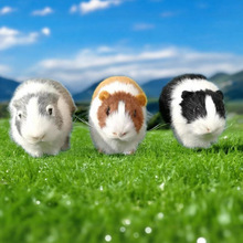 С}ģͼֹˇƷƷb[ëq