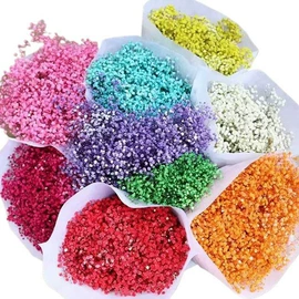 鲜花花艺制品;干花;永生花