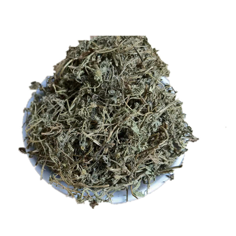 Dried Centipeda Herb E Bu Shi Cao Whole Plant Traditional TCM Botanical Bulk Supply in use