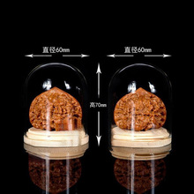 ������������Һ��J�ϙ�˵�΢���^չʾ͸��Molly�������Љ�����