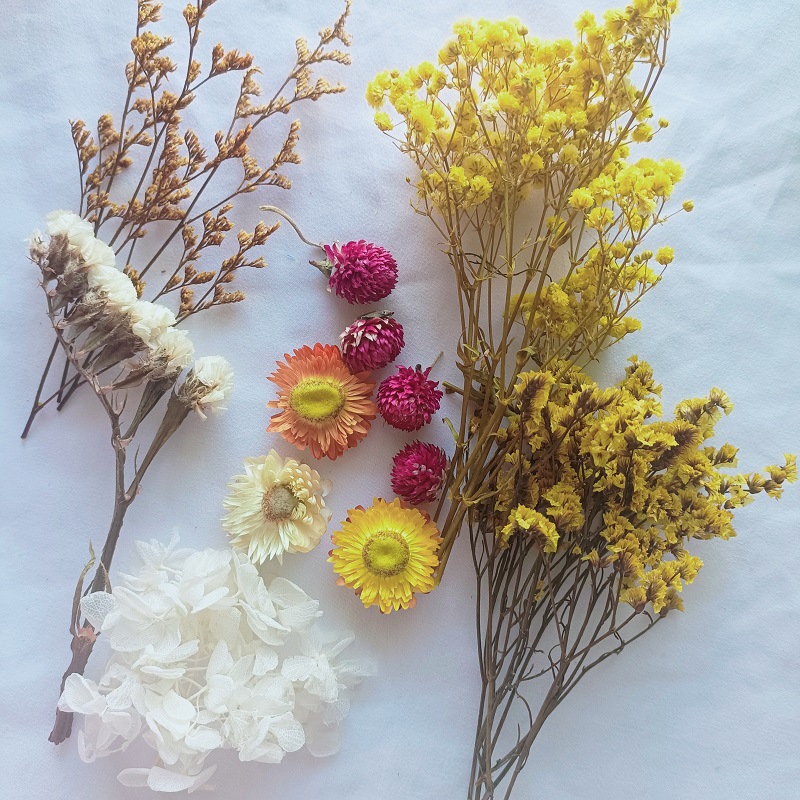 Festival bricolaje hecho a mano material de flor eterna planta flor seca florero flotante aromaterapia flor seca abanico de material paquete al por mayor
