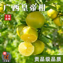 ���ڏV�����Q�ʵ۸����r�FժƤ���ׄ�֭ˮ�SӯؕƷ��Ʒ�|һ�����l