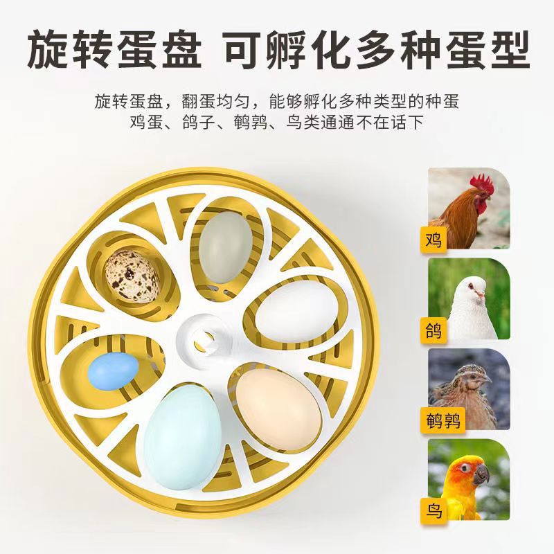 Direct Sales Chicken Incubator Small Home Use Automatic Smart Home Chicken Egg Incubator