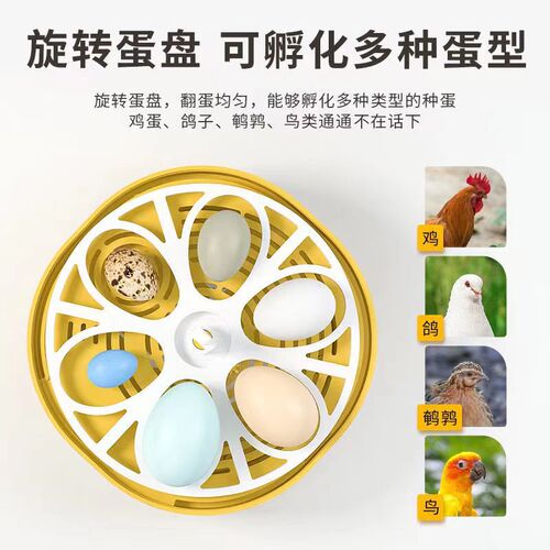 Direct Sales Chicken Incubator Small Home Use Automatic Smart Home Chicken Egg Incubator