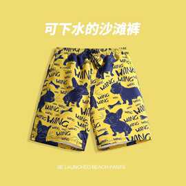 沙滩裤男士大码速干宽松薄款五分男式短裤运动休闲花裤亚马逊爆款