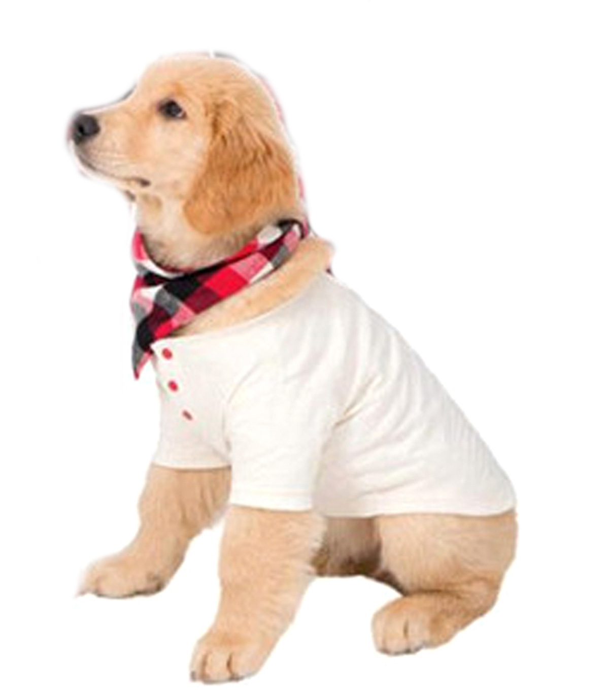 21929212451_1989502742