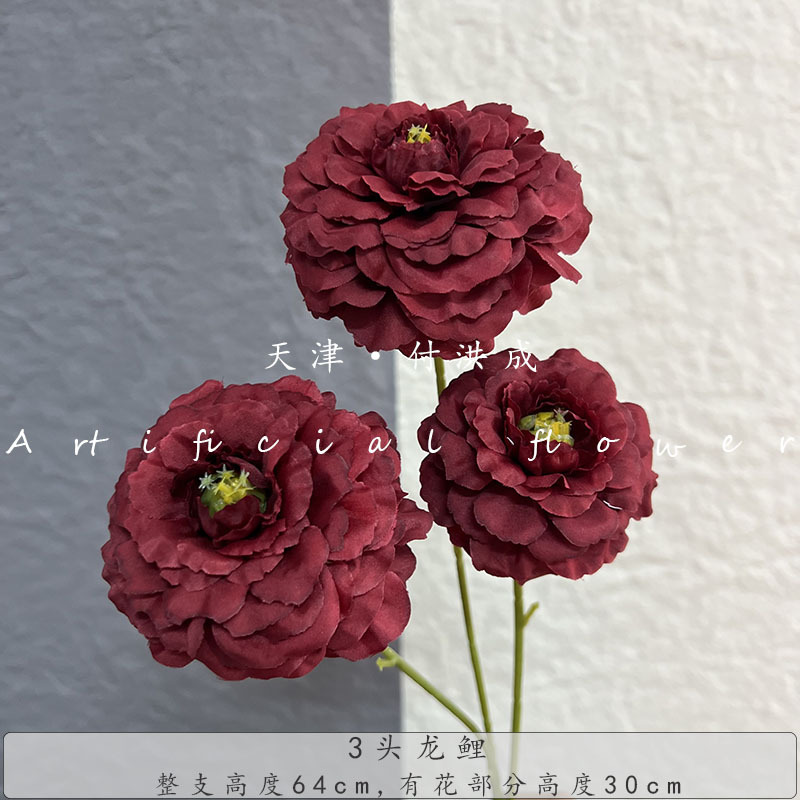 3마리 용잉어