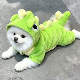 猫猫包、箱;狗狗服装;狗狗包、箱