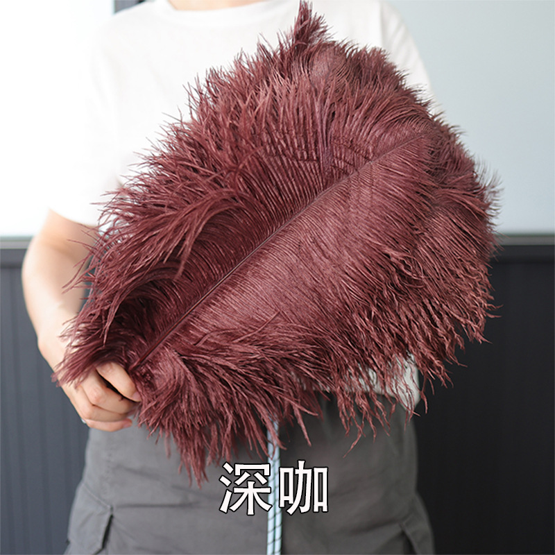 Fabricantes de pelaje de avestruz 50 - 55CM boda guía de la mesa flor de plumas de avestruz adornos de red pared roja plumas de espectáculo de escenario image 30