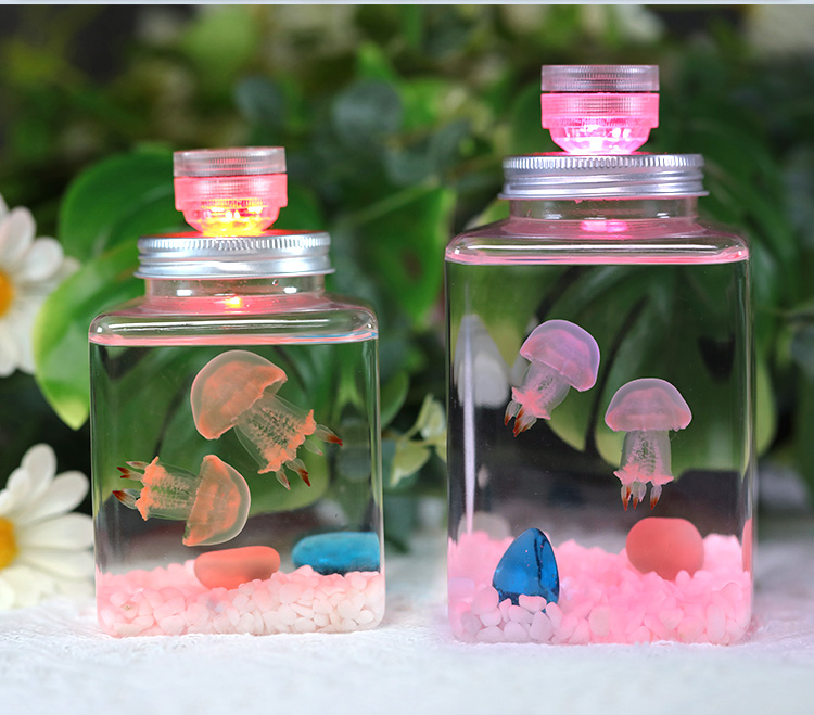 水母活物缸家养好养儿童学生桌面小动物宠物迷你懒人水族箱赤月