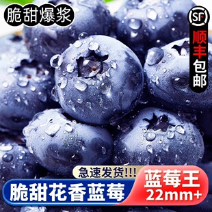 ɽ�|�{ݮ�r�����r����ˮ��125g��S���]�r���{÷һ�����l