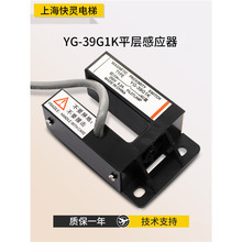  ƽӸБ_PYG-39G1KT^_Pm춵ɭ