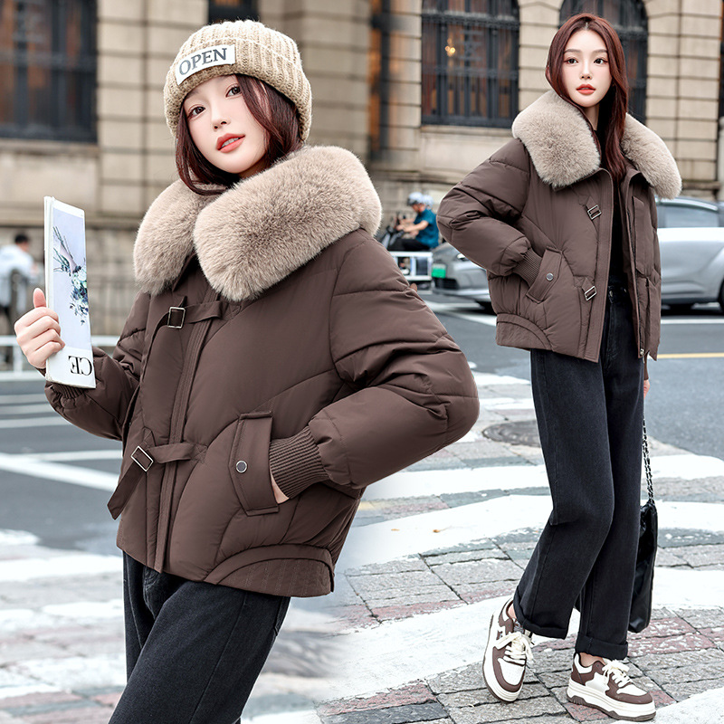Ropa de algodón suelta de invierno de moda de 2025 nuevo cuello de cabello de algodón de mujeres de otoño y invierno chaqueta de algodón exterior abrigo corto image 2
