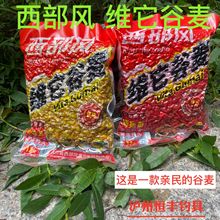 西部风鱼饵 维它谷麦 五谷杂粮 底窝料 挂钩 钓鱼饵料：600克