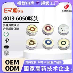4013���^�͸ߜ����`��MIC�v�O�w�������ɔ_����������L����