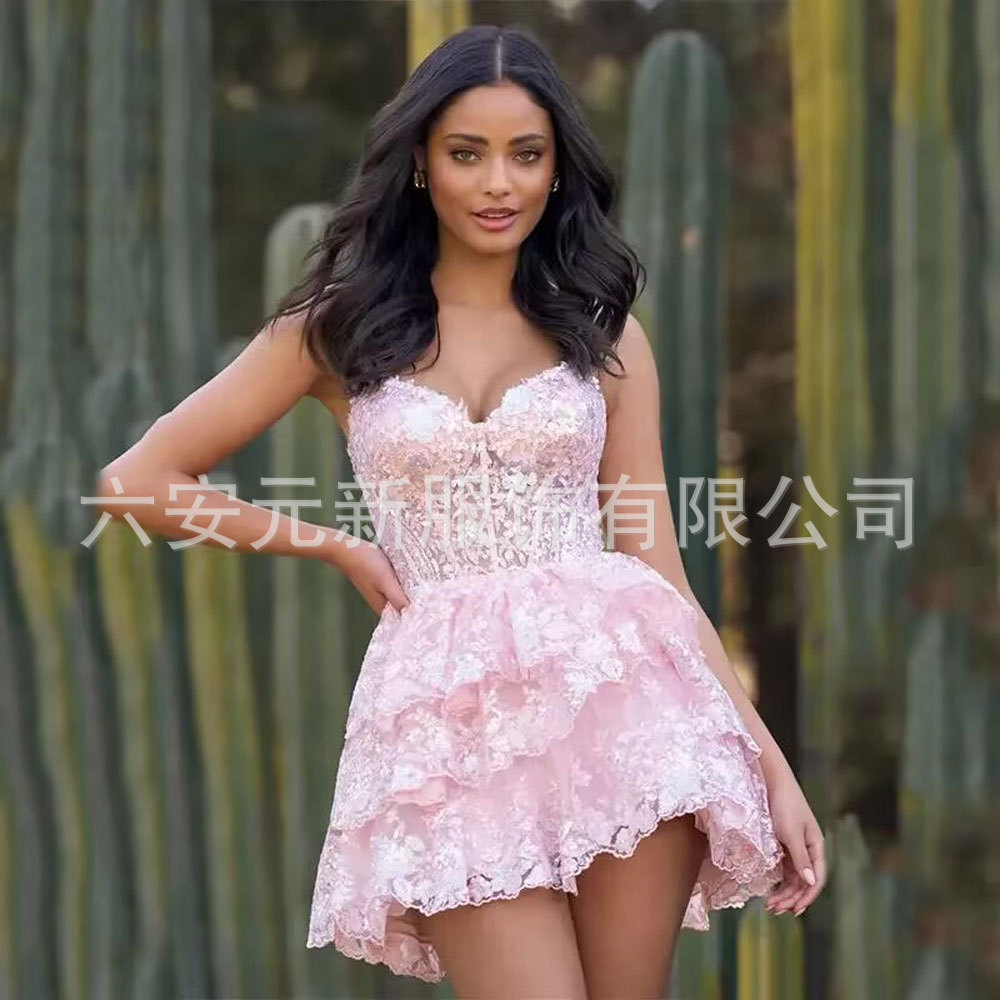 Europa y América del Comercio Exterior Amazon AliExpress estación independiente deseo lentejuelas de encaje apliques pequeña falda banquete vestido la liga