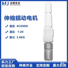 伸缩电机 伸缩电机用品牙箱 往复式减速马达直线减速电机