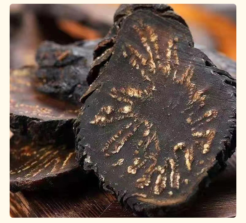 Fengyuntang Cistanche Rou Cong Rong Gift Box with Golden Suo Yang Dried Herbal Wellness Tea from Inner Mongolia preparation