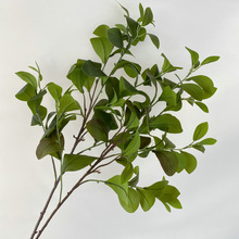 单支绣球叶钱兜叶菠萝蜜2号叶居家装饰仿真植物绿植插花绿叶配材