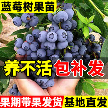 �{ݮ����������{÷���ش�̖�����҃��̨�����ͺ��ϱ����ļ��Y��