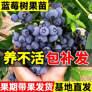 �{ݮ����������{÷���ش�̖�����҃��̨�����ͺ��ϱ����ļ��Y��