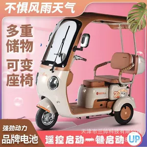 New National Standard Electric Tricycle with Canopy