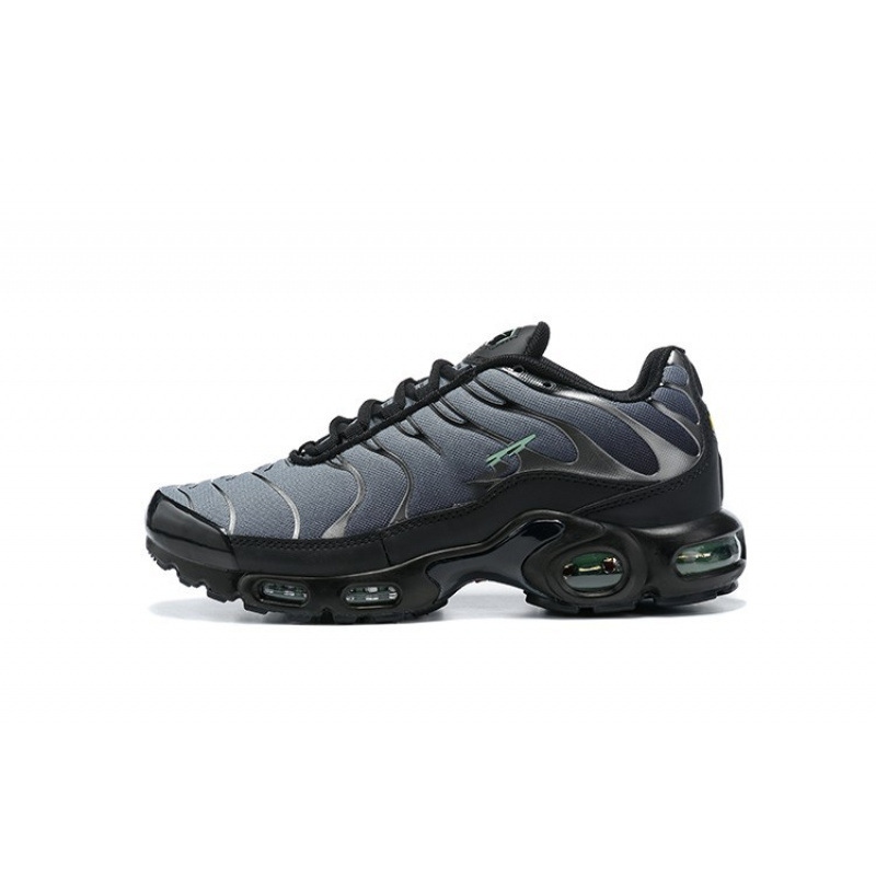 tn 말라카이트 그린