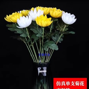 ���滨 ��֧�ջ� �S�����l �߷����