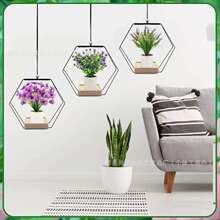 �F؛BOHO�҃�ֲ����ܲ����ׁ��젝���@�컨�崰���Ҿ��b�����