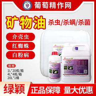 �G�f 99%�V���͸��٘�隤�x�t֩�럟��ʭ���\���x���\�������rș