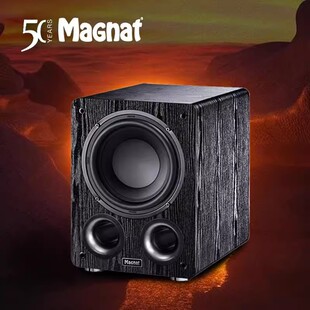 Magnat/���� RS-8 ���ÿ͏d��ͥӰԺ���،�������ڴ��ʰl����