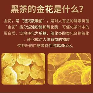 2015����ϰ�����ɽ���ƽ���u2�����ɂ}�𻨱��M�ڸд���